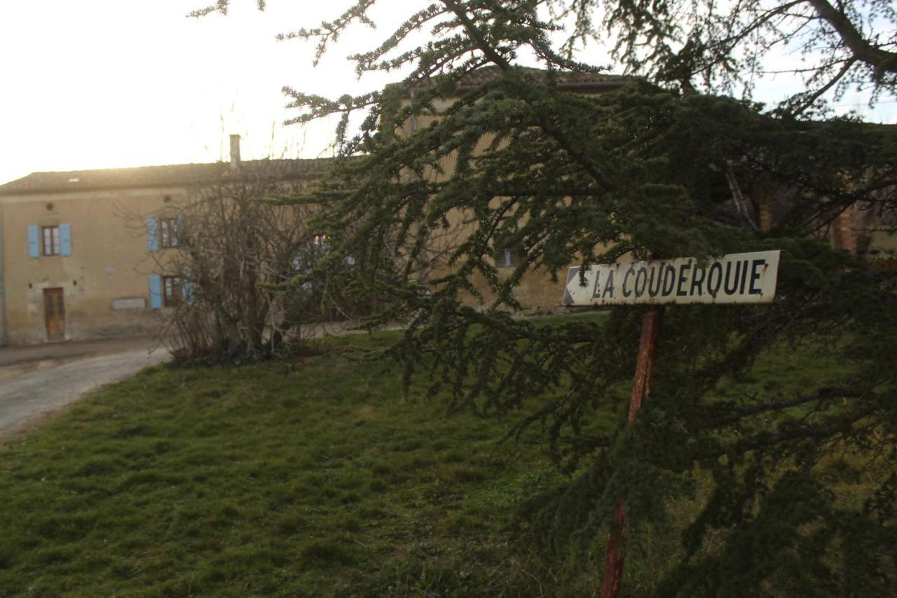 Domaine De La Couderquie Bed & Breakfast Lautrec ภายนอก รูปภาพ