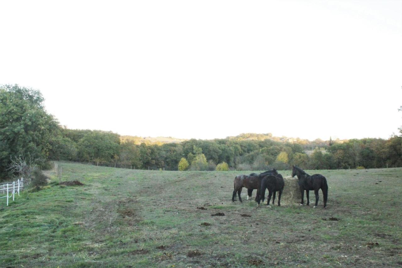 Domaine De La Couderquie Bed & Breakfast Lautrec ภายนอก รูปภาพ