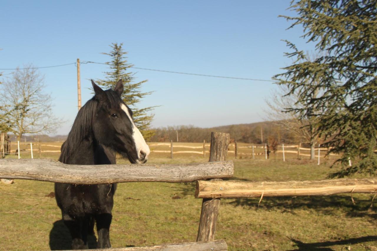 Domaine De La Couderquie Bed & Breakfast Lautrec ภายนอก รูปภาพ