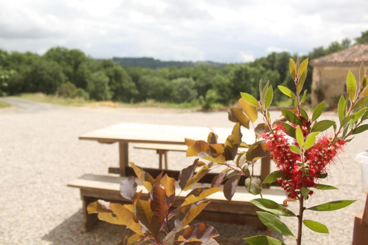 Domaine De La Couderquie Bed & Breakfast Lautrec ภายนอก รูปภาพ
