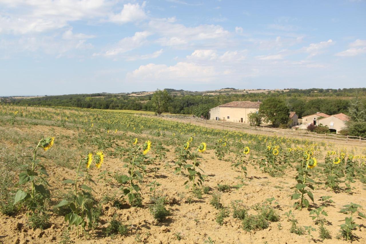Domaine De La Couderquie Bed & Breakfast Lautrec ภายนอก รูปภาพ