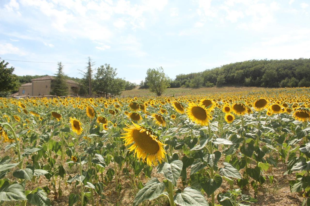 Domaine De La Couderquie Bed & Breakfast Lautrec ภายนอก รูปภาพ
