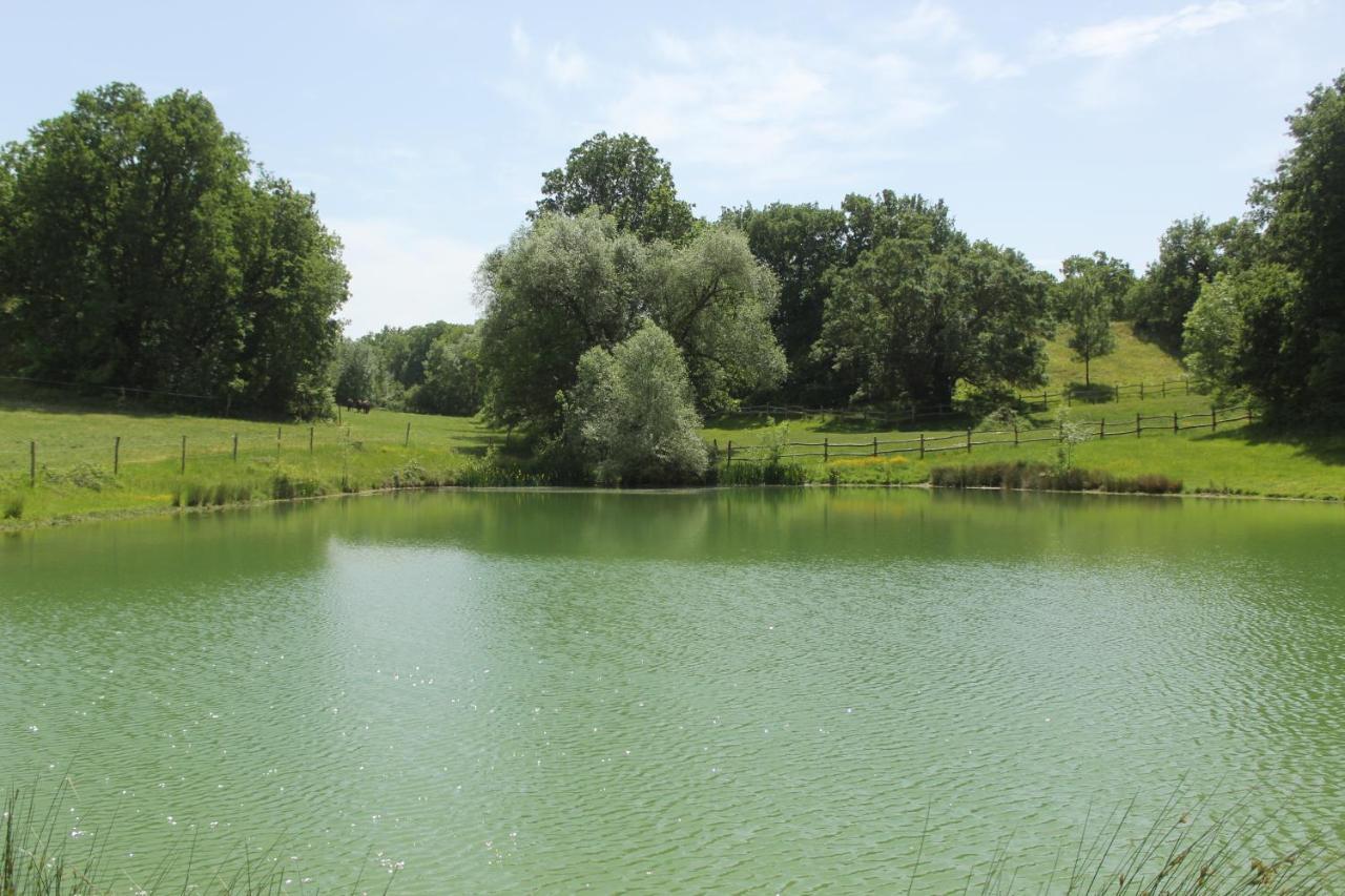 Domaine De La Couderquie Bed & Breakfast Lautrec ภายนอก รูปภาพ